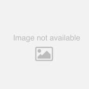 Safety Chain 7/16" x 36" with S Hooks